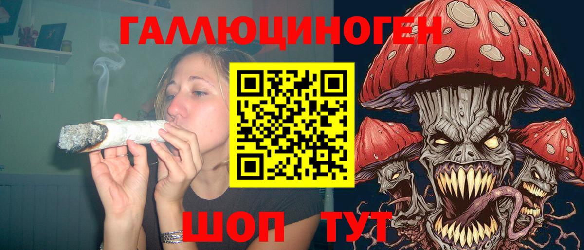Знаменск  Псилоцибиновые грибы Psilocybe  Вход с VPN 