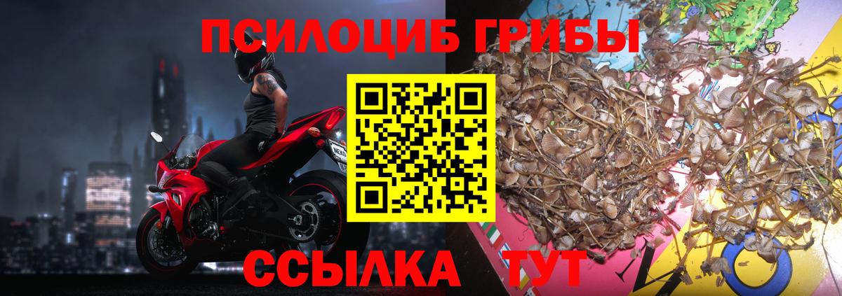 Псилоцибиновые грибы Magic Shrooms Знаменск